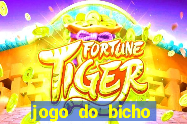 jogo do bicho banca ouro verde